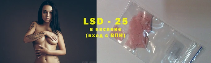 тгк Краснослободск