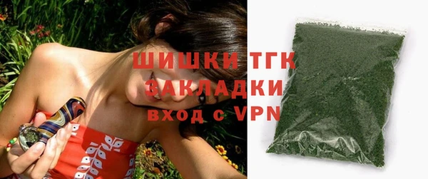 спайс Корсаков