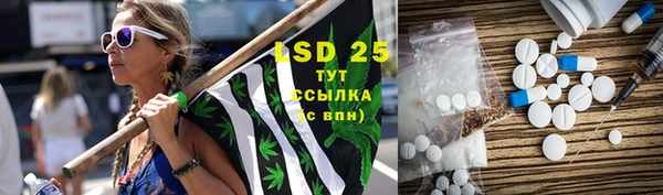 тгк Краснослободск