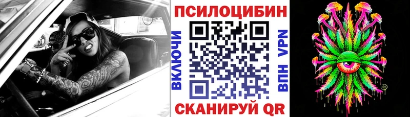 Галлюциногенные грибы Psilocybine cubensis  наркотики  Староминская 